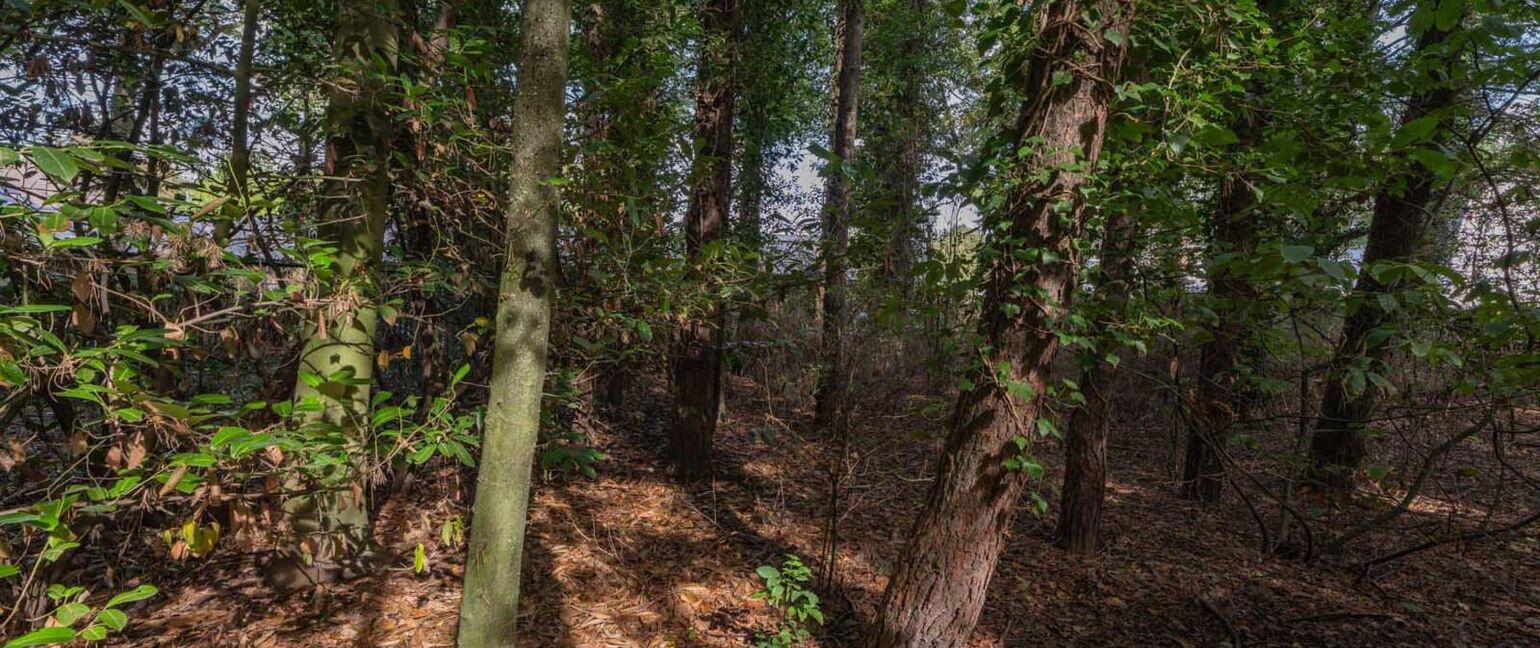 Huis te koop in Dilsen-Stokkem
