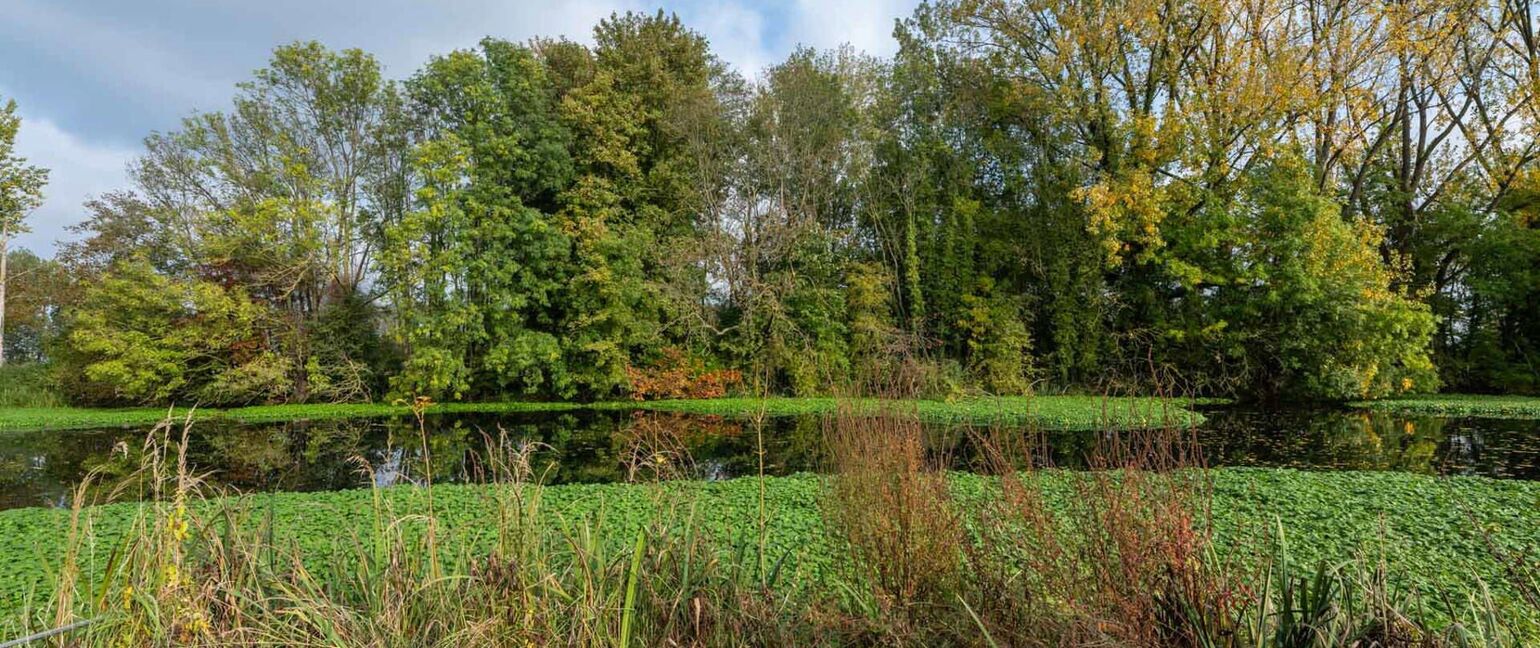 Huis te koop in Dilsen-Stokkem