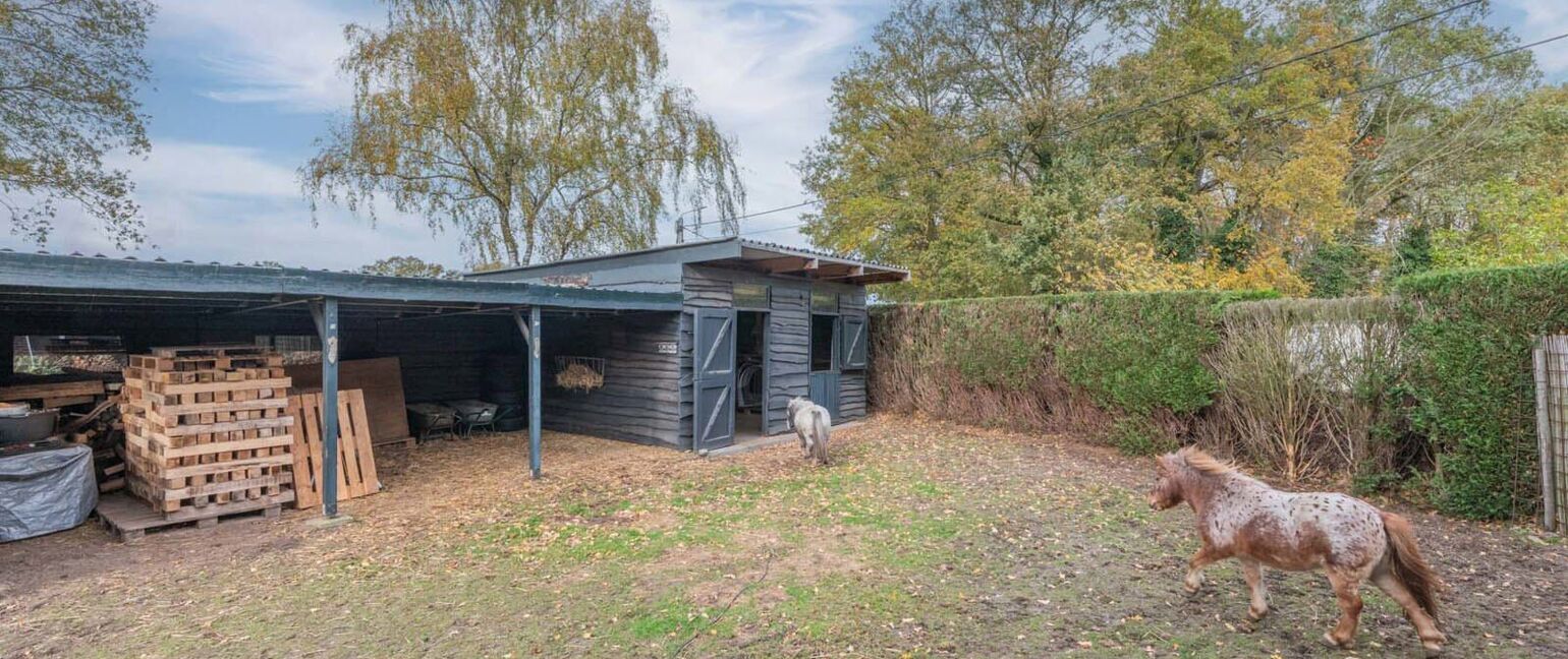 Huis te koop in Kinrooi