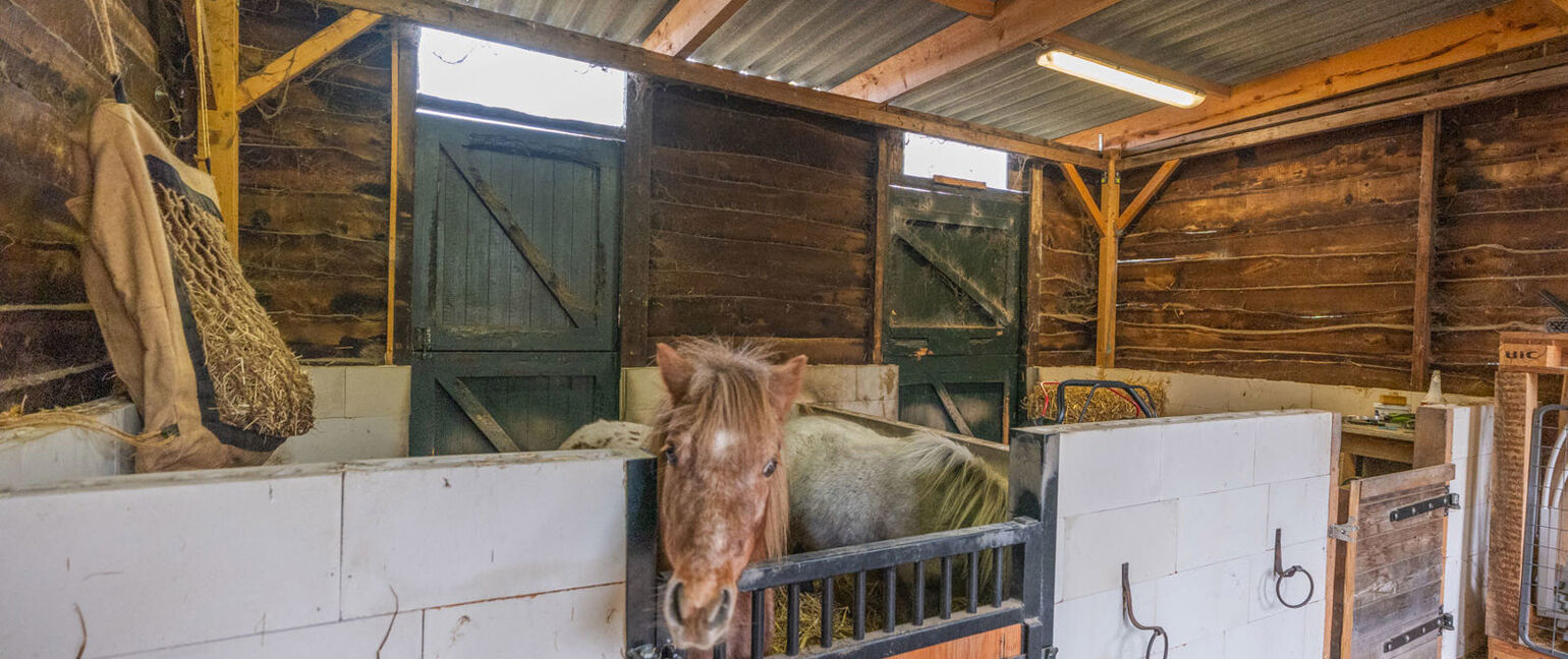 Huis te koop in Kinrooi