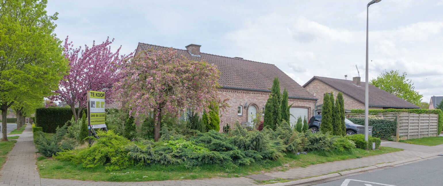 Huis te koop in Maaseik