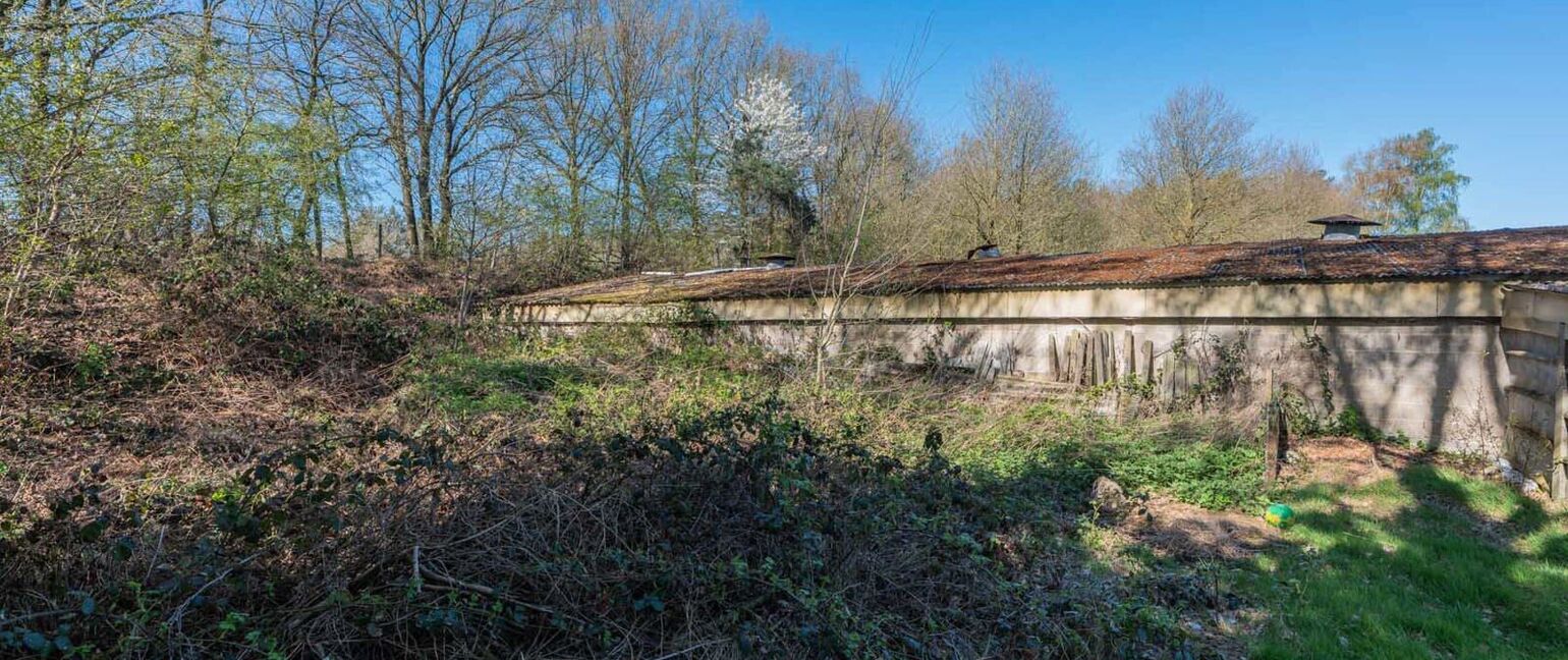 Huis te koop in Maaseik
