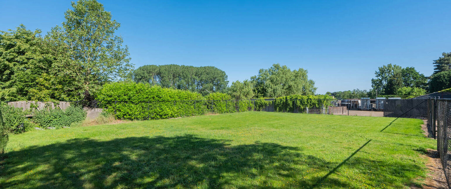 Huis te koop in Maaseik