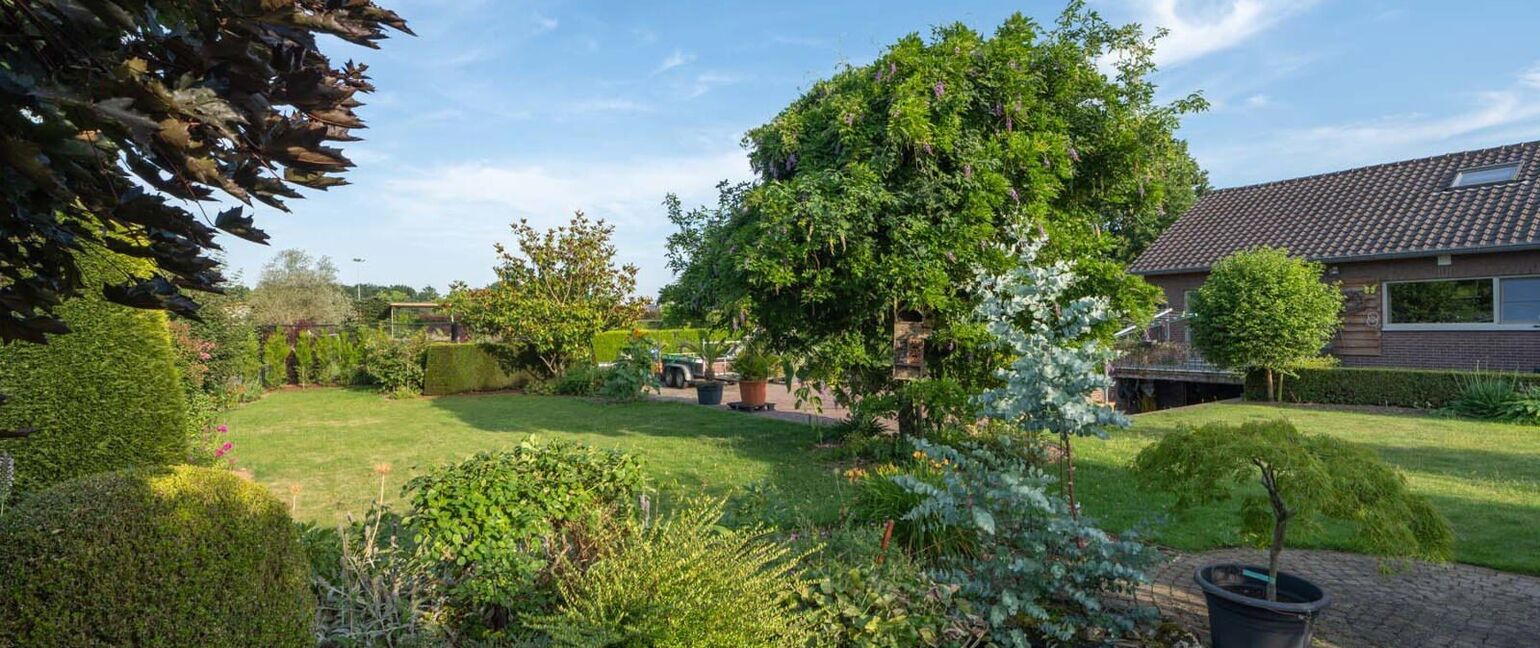 Huis te koop in Maaseik
