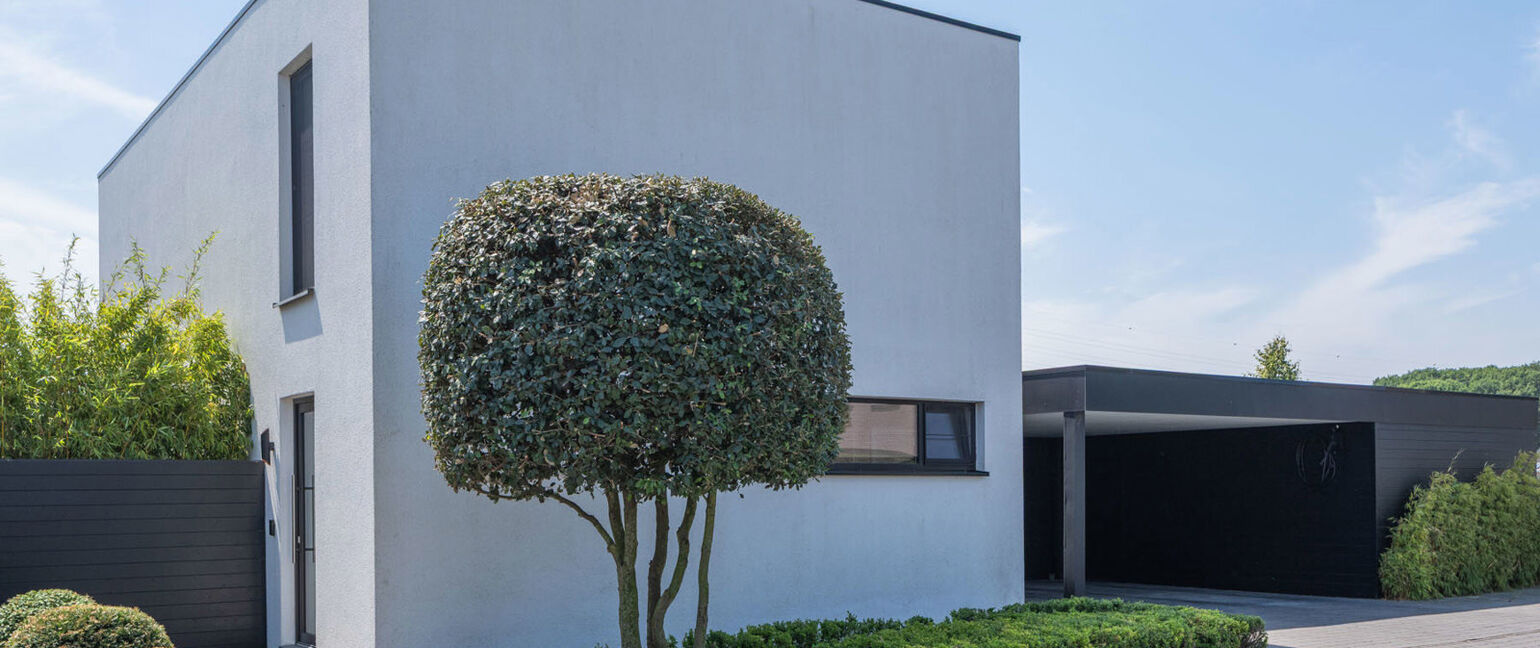 Huis te koop in Maaseik