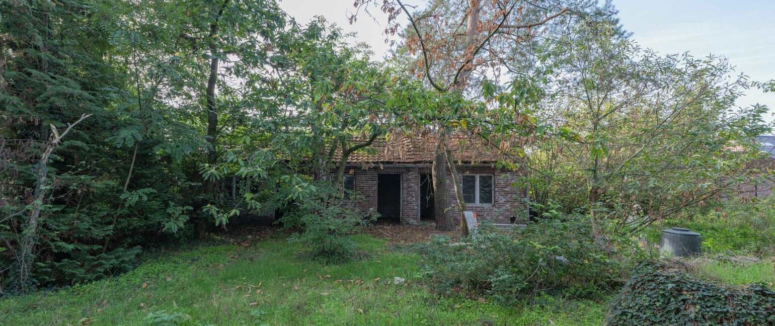 Huis te koop in Maaseik