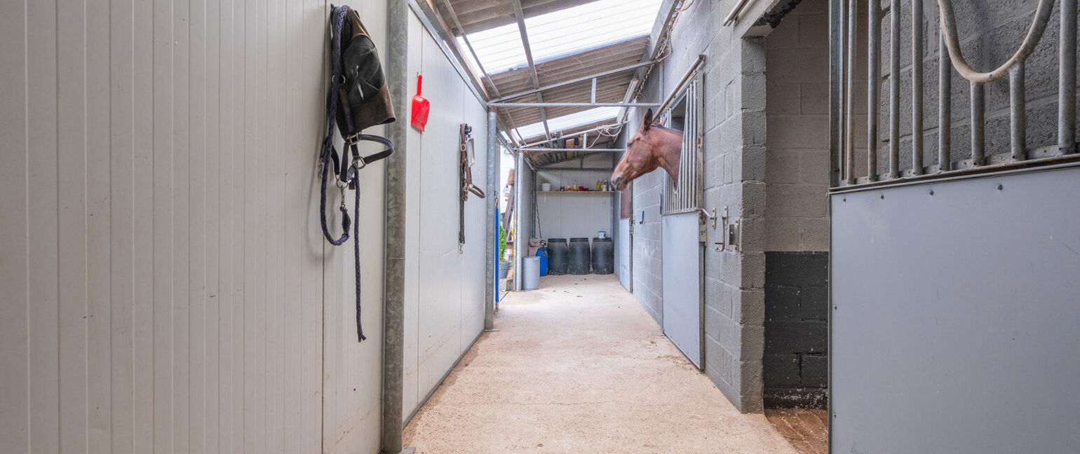 Huis te koop in Maasmechelen