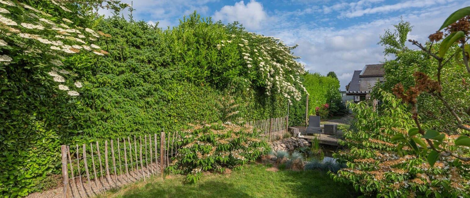 Huis te koop in Maasmechelen