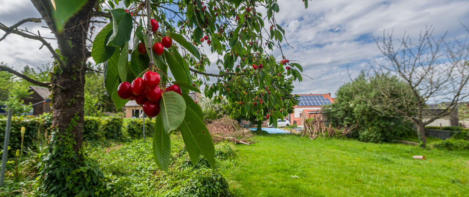 Huis te koop in Sint-Truiden