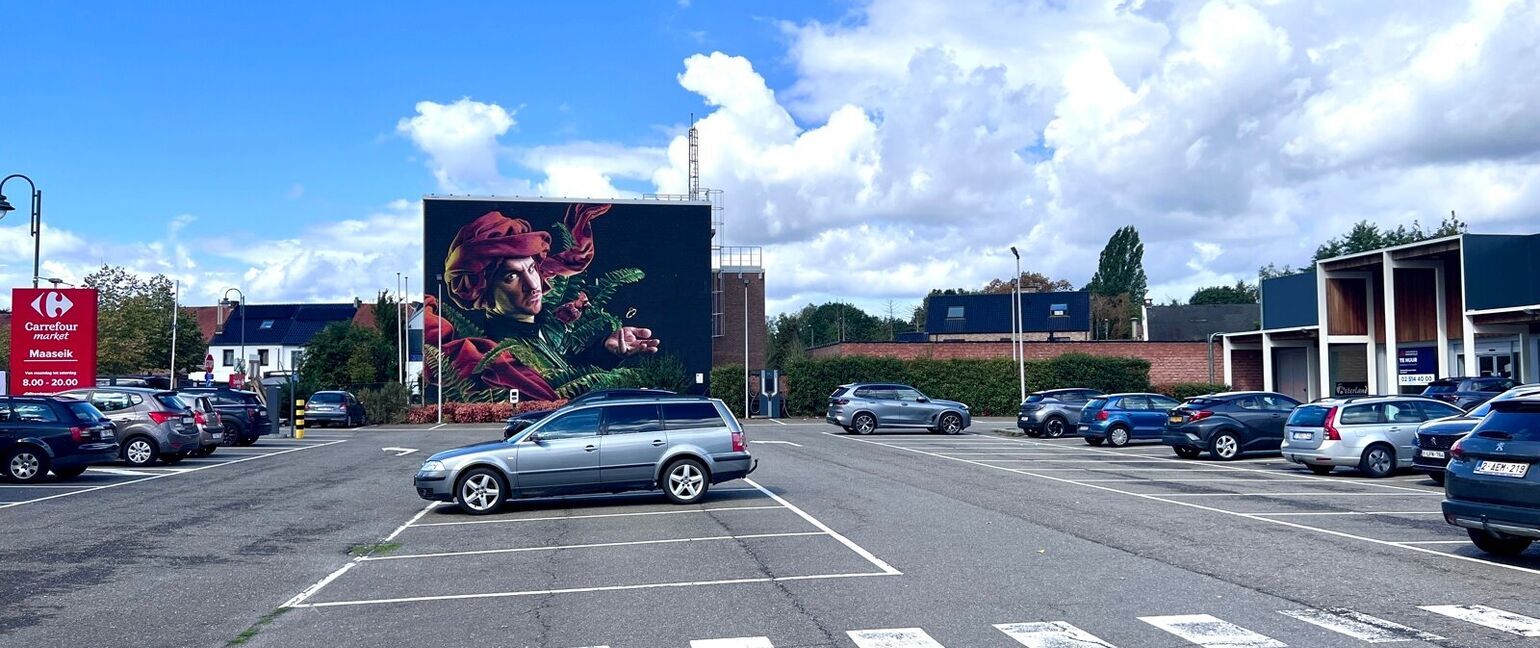 Individuele handelszaak te huur in Maaseik