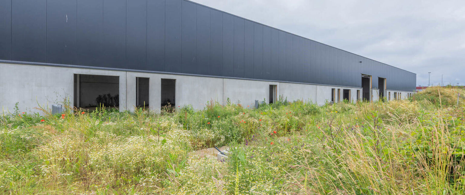 Industrieel gebouw te koop in Lanaken