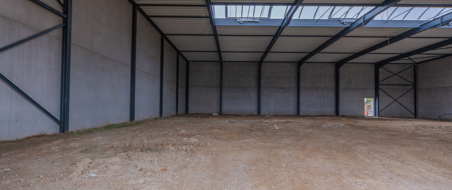 Industrieel gebouw te koop in Maaseik