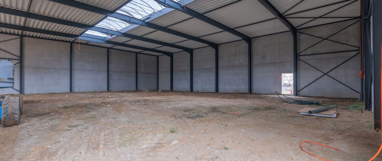 Industrieel gebouw te koop in Maaseik