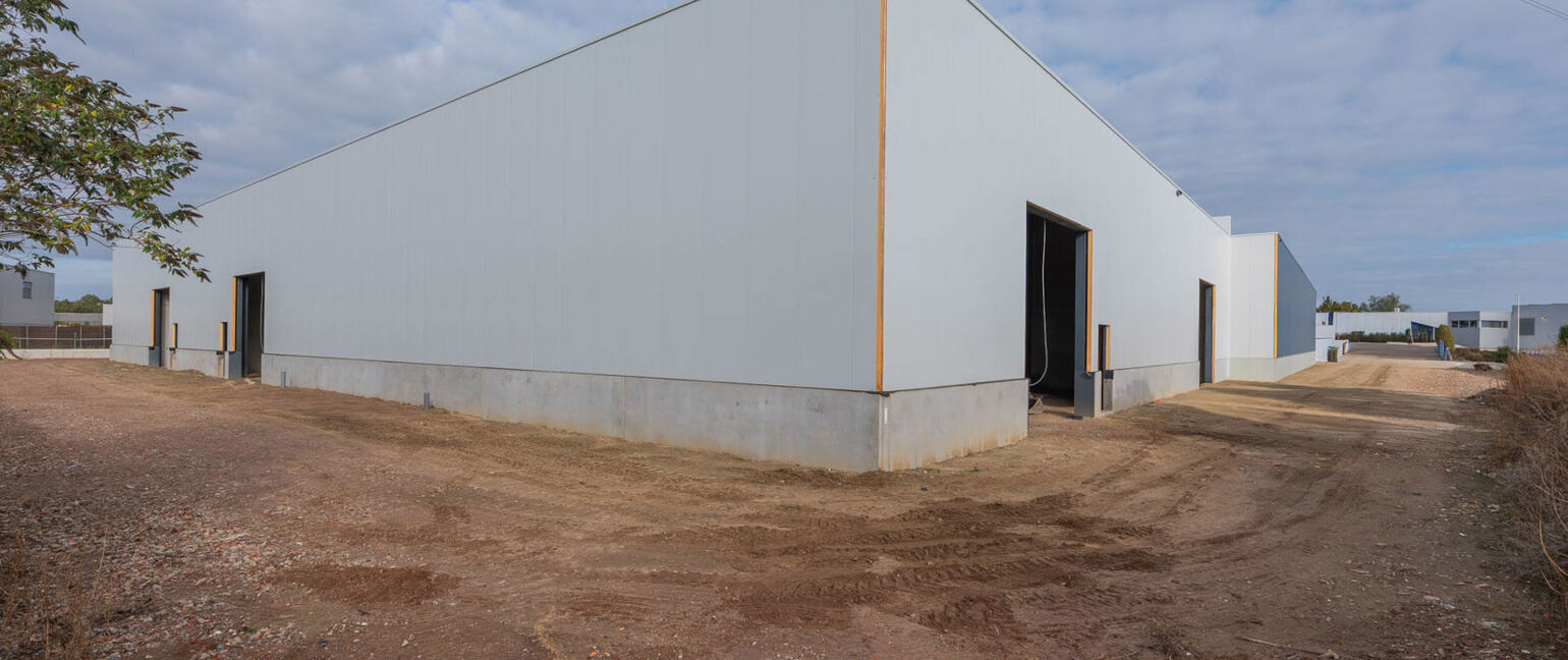 Industrieel gebouw te koop in Maaseik