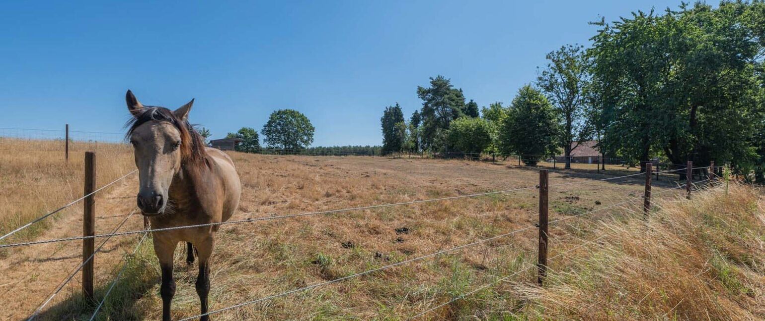Landbouwgrond te koop in Maaseik Opoeteren