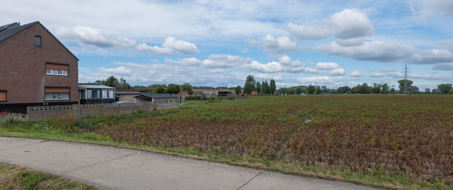Landbouwgrond te koop in Maasmechelen