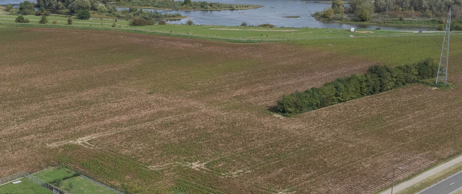 Landbouwgrond te koop in Maasmechelen