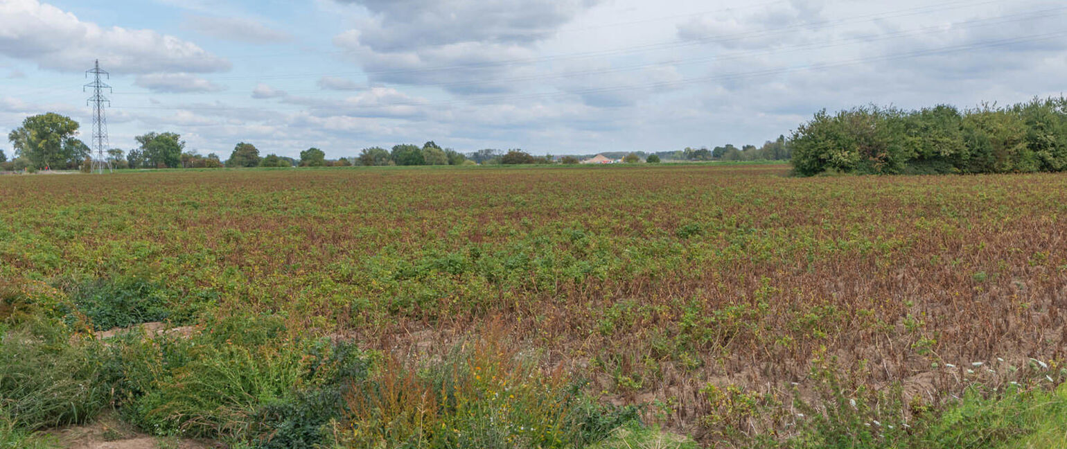 Landbouwgrond te koop in Maasmechelen