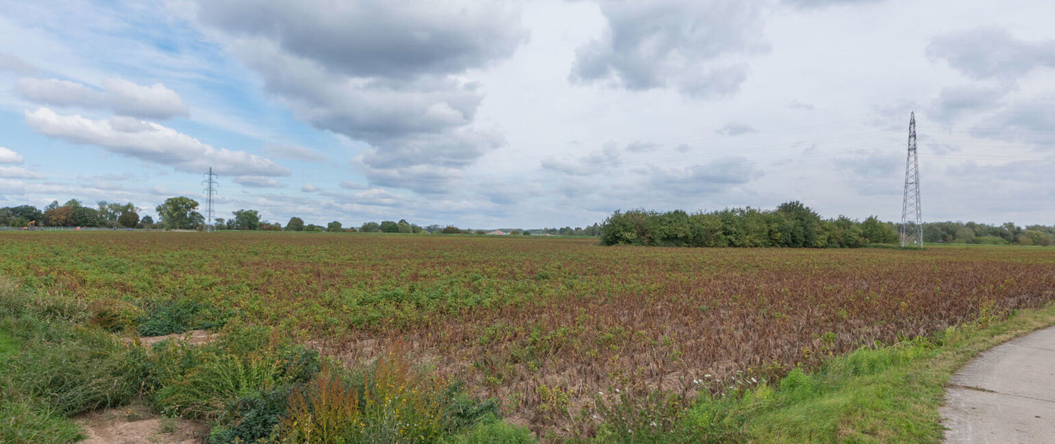Landbouwgrond te koop in Maasmechelen