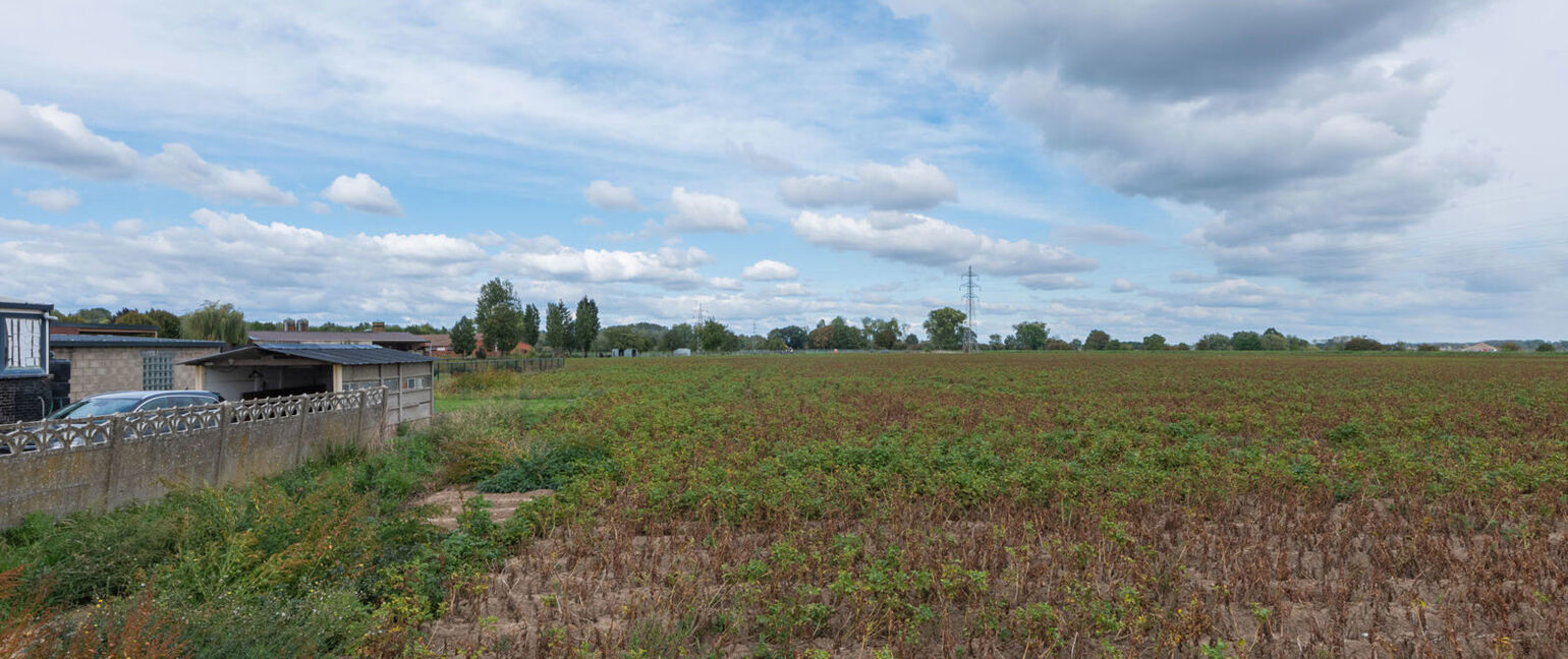 Landbouwgrond te koop in Maasmechelen