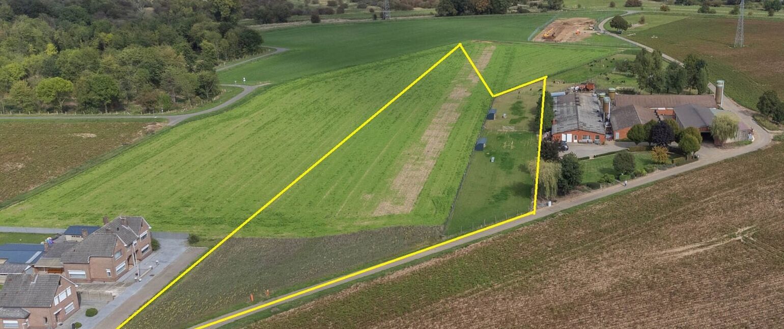 Landbouwgrond te koop in Maasmechelen