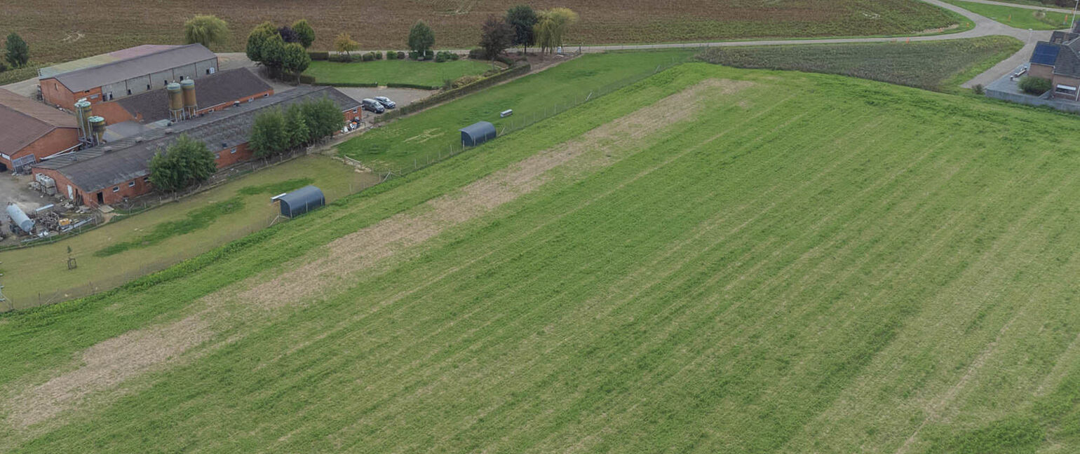 Landbouwgrond te koop in Maasmechelen