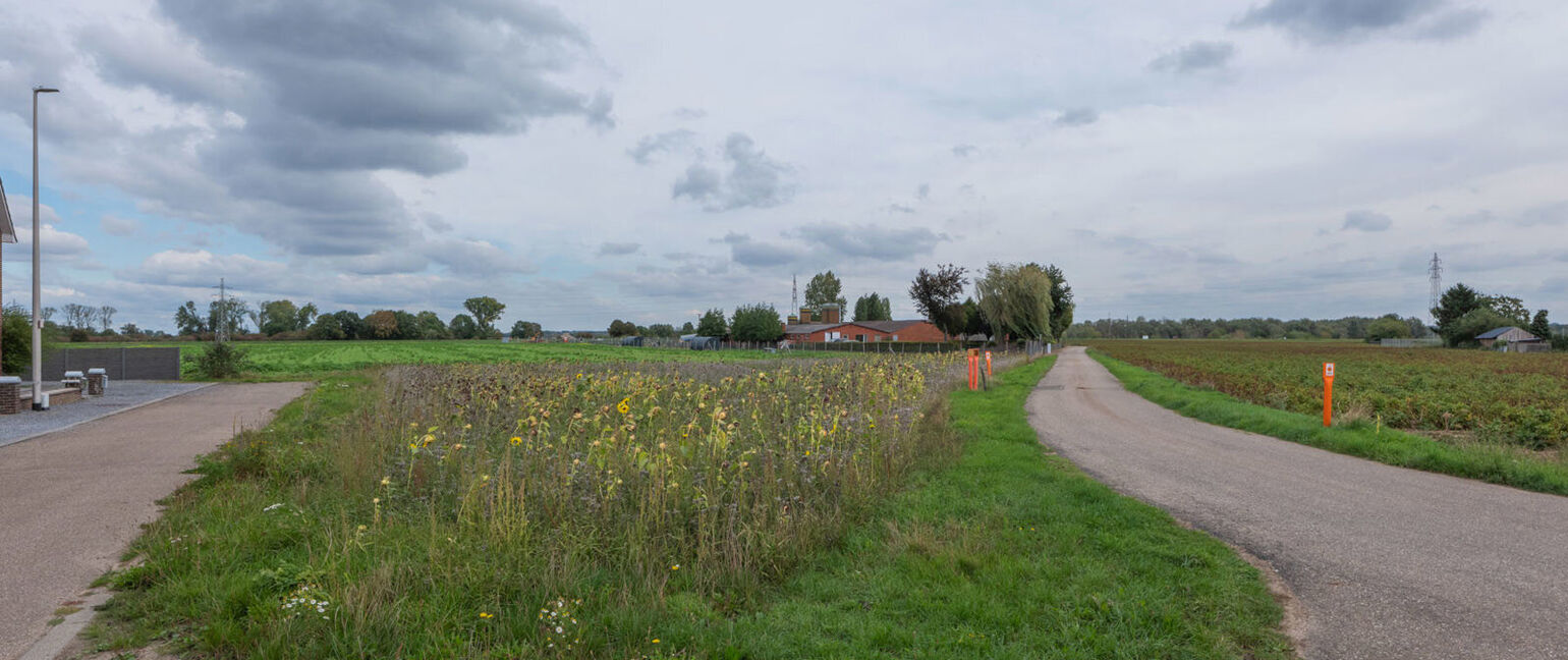 Landbouwgrond te koop in Maasmechelen