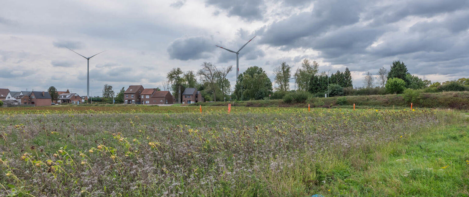 Landbouwgrond te koop in Maasmechelen