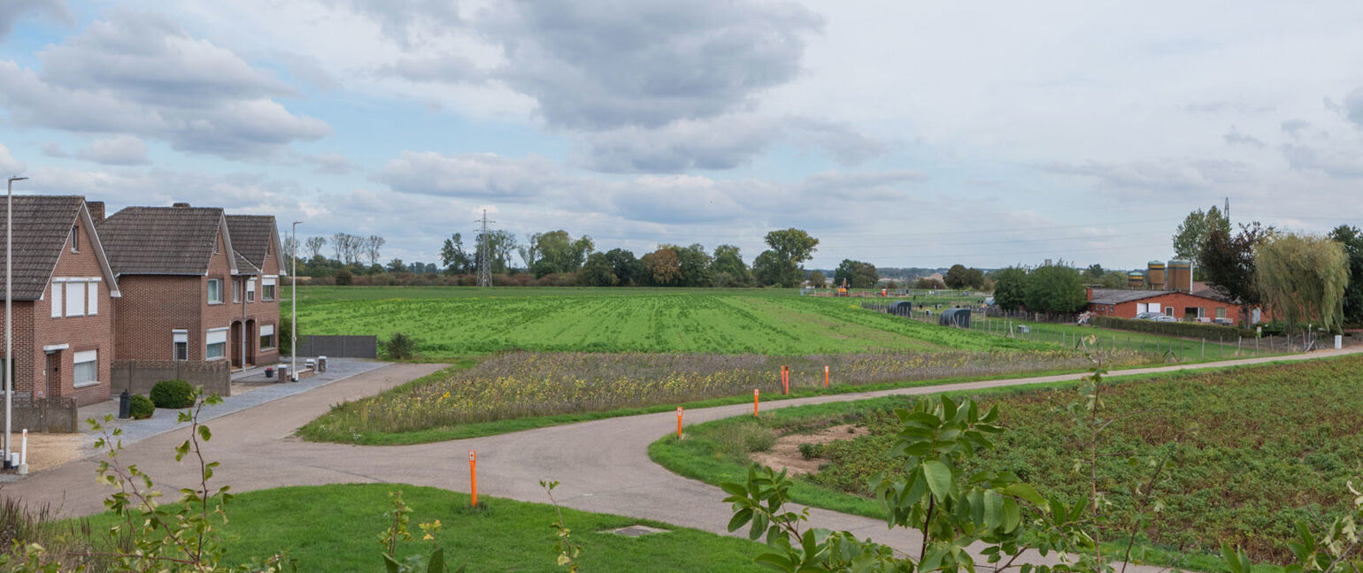Landbouwgrond te koop in Maasmechelen