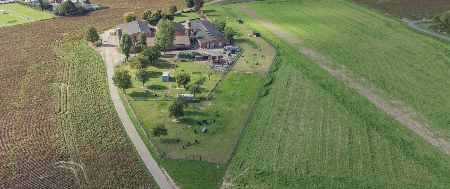 Landbouwgrond te koop in Maasmechelen
