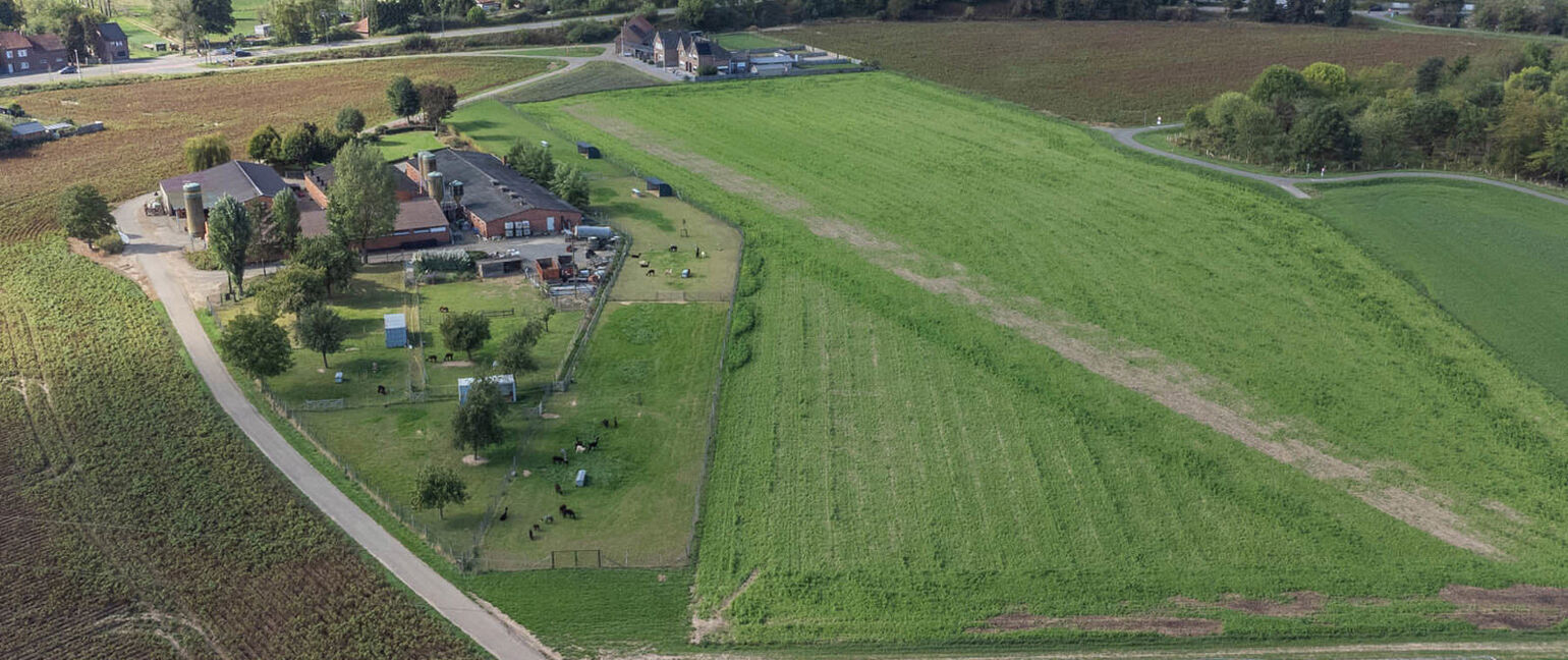 Landbouwgrond te koop in Maasmechelen