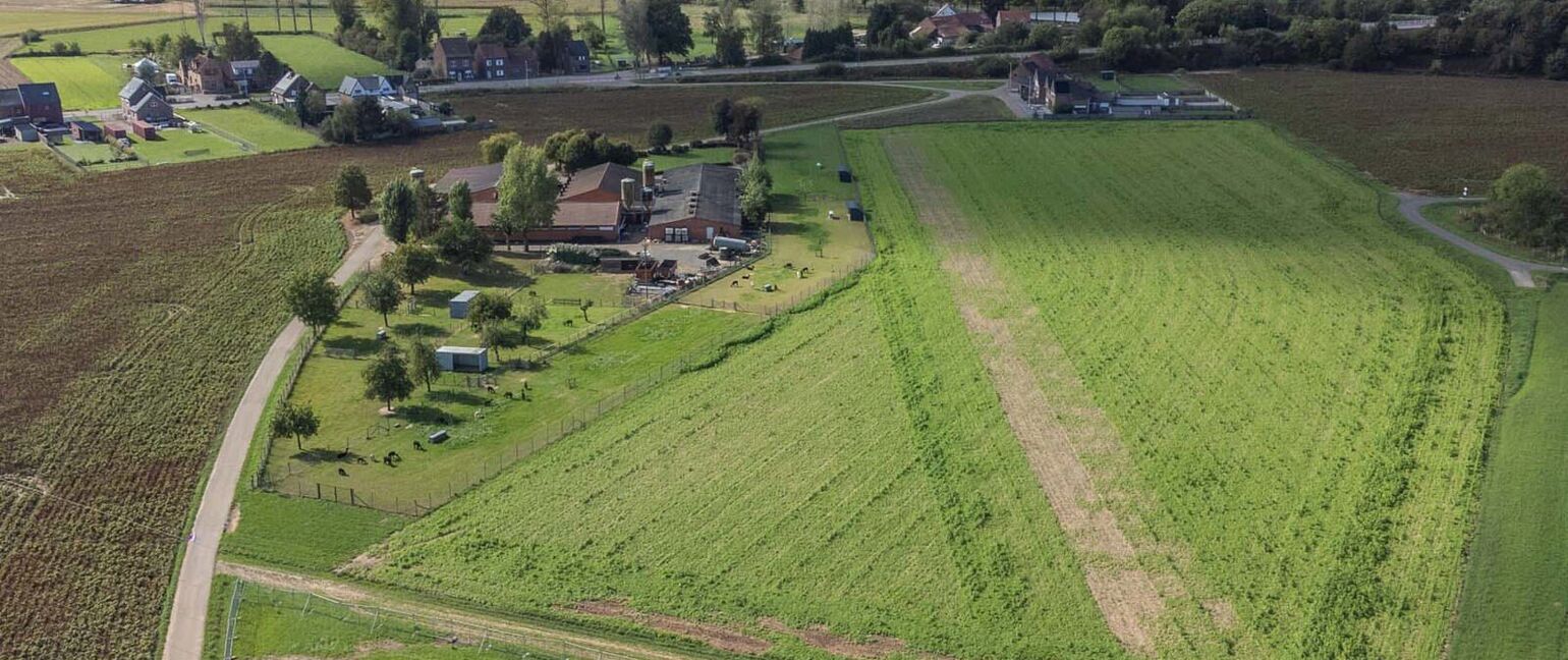Landbouwgrond te koop in Maasmechelen