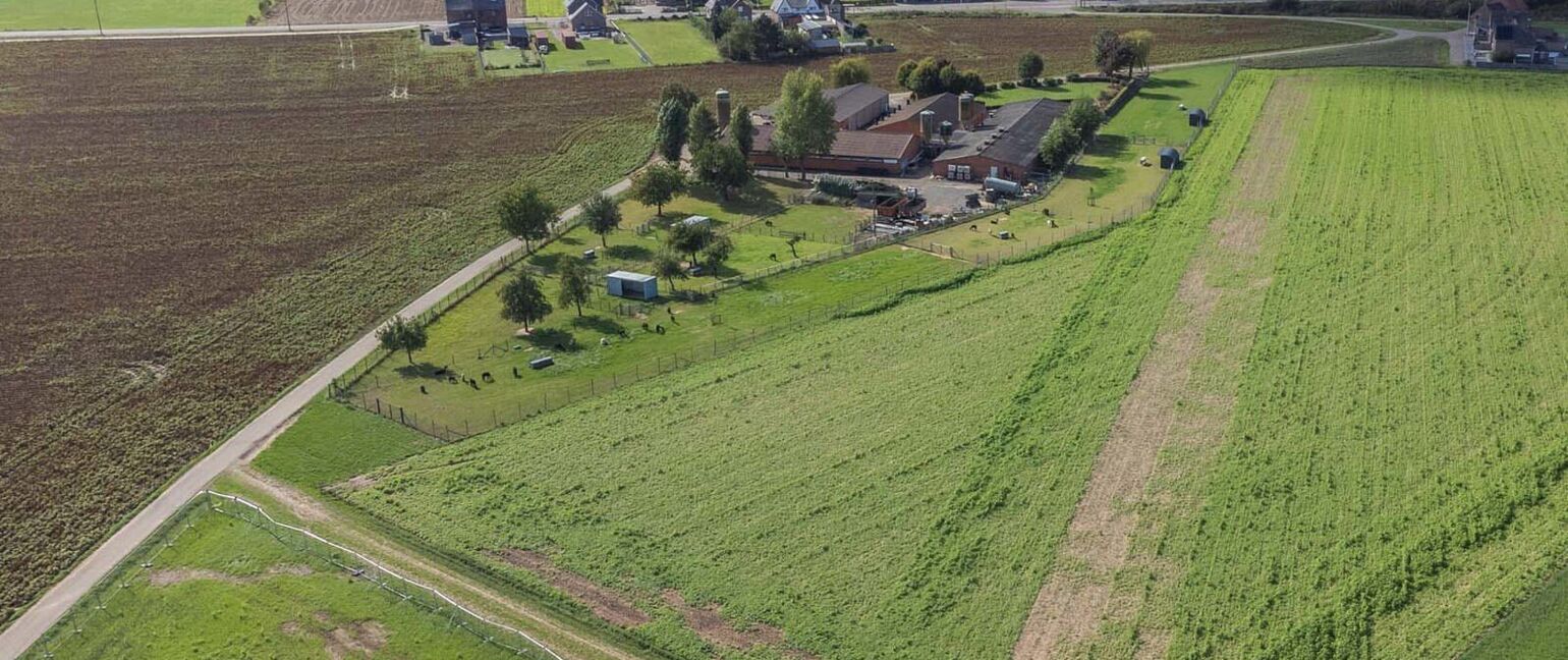 Landbouwgrond te koop in Maasmechelen