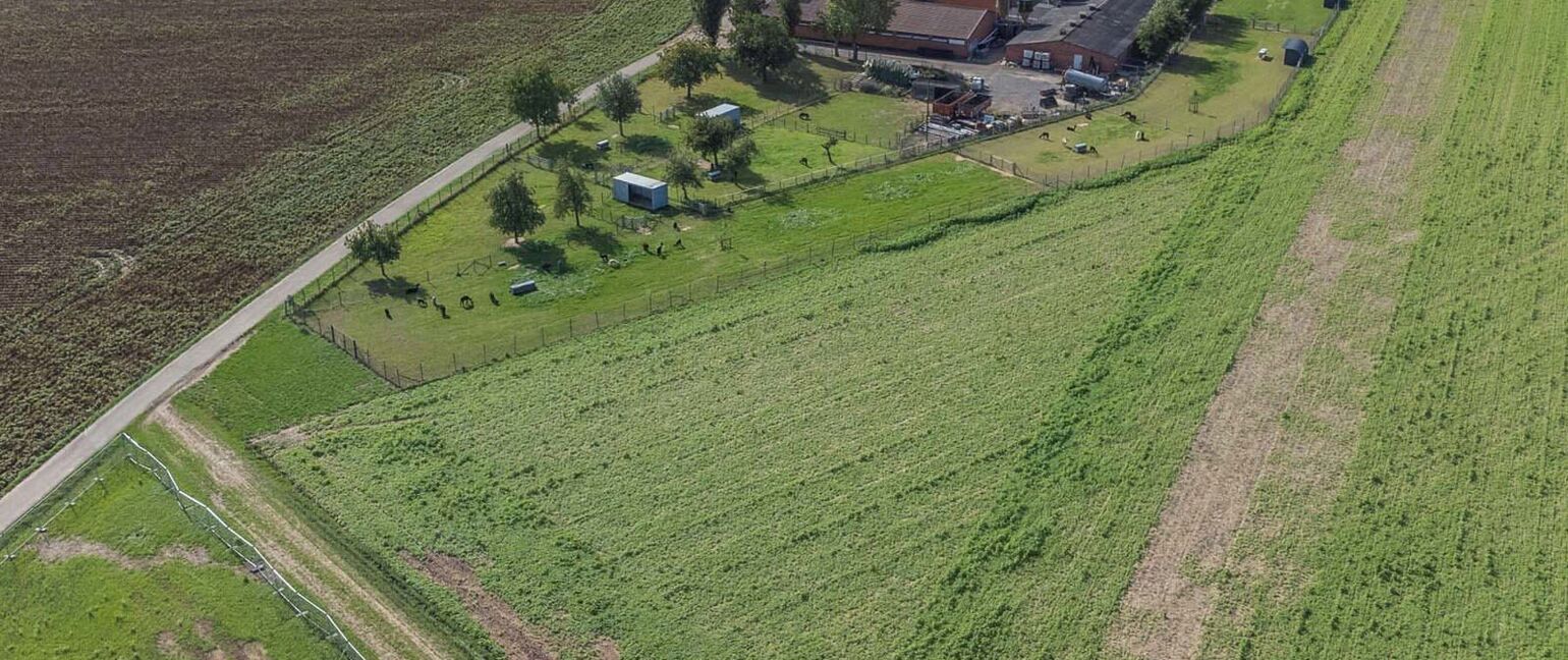 Landbouwgrond te koop in Maasmechelen