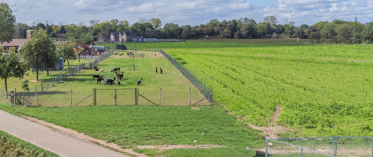 Landbouwgrond te koop in Maasmechelen