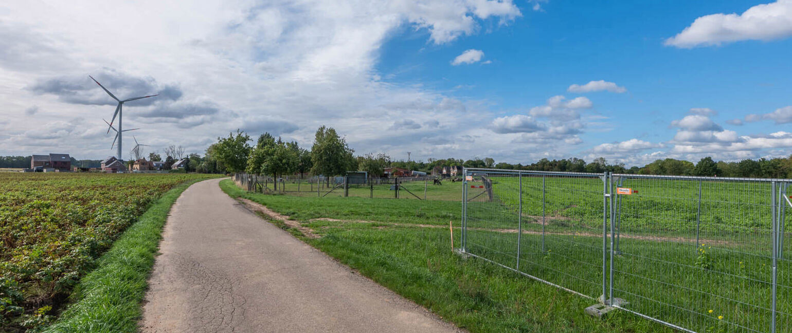 Landbouwgrond te koop in Maasmechelen