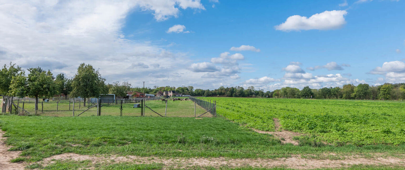 Landbouwgrond te koop in Maasmechelen