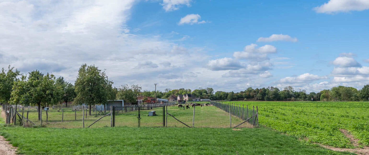 Landbouwgrond te koop in Maasmechelen