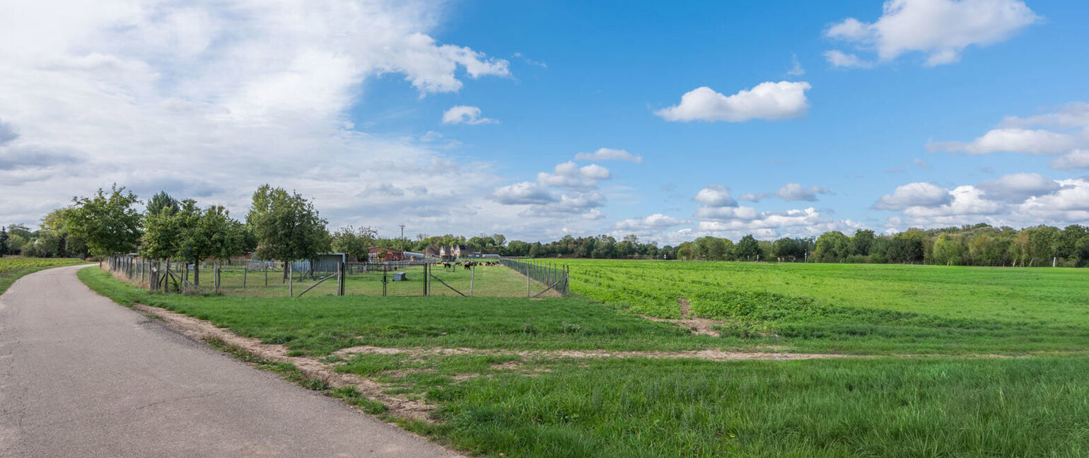 Landbouwgrond te koop in Maasmechelen