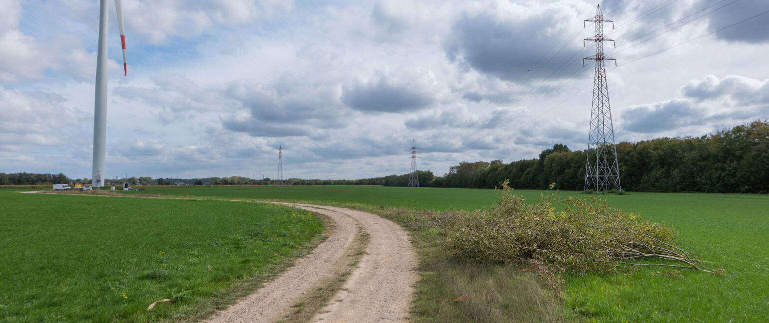 Landbouwgrond te koop in Maasmechelen