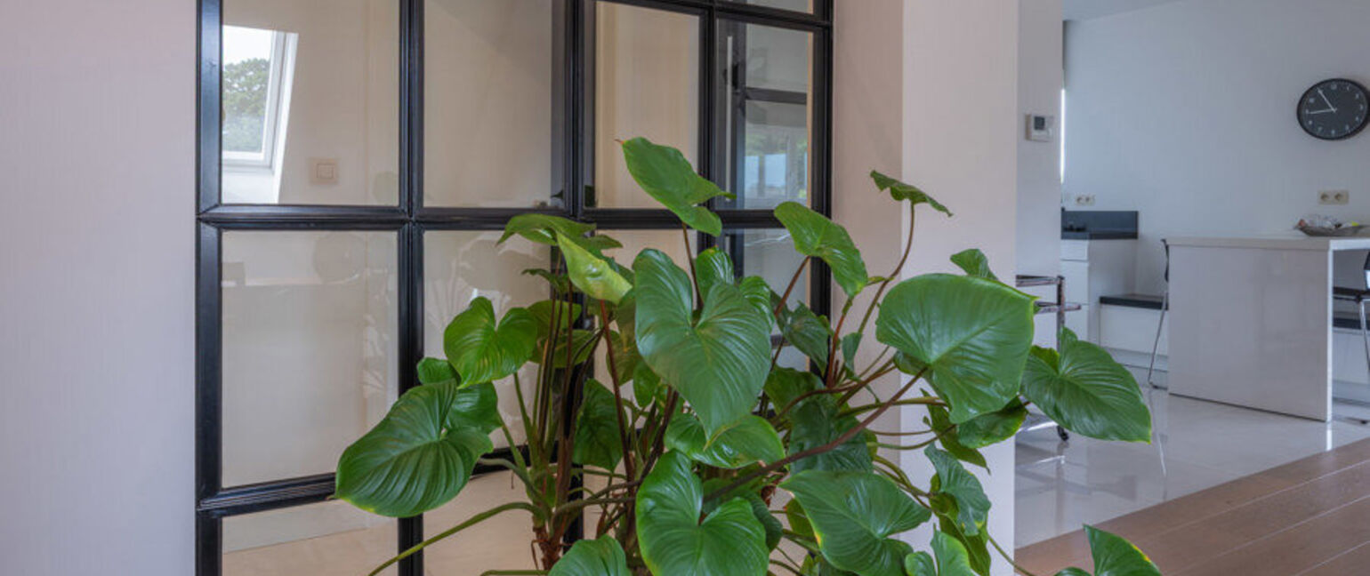 Penthouse te huur in Dilsen-Stokkem