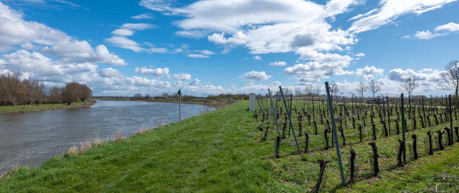 Recreatief terrein te koop in Maaseik