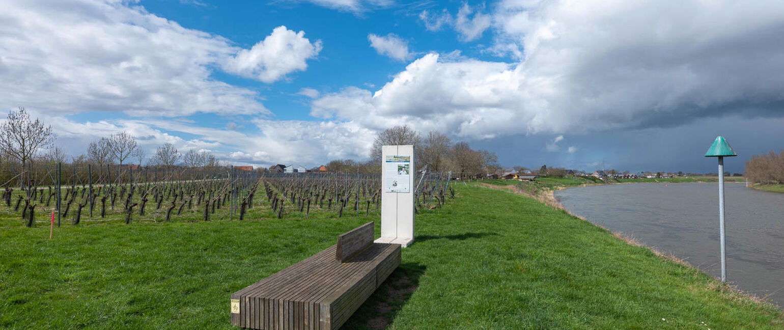 Recreatief terrein te koop in Maaseik