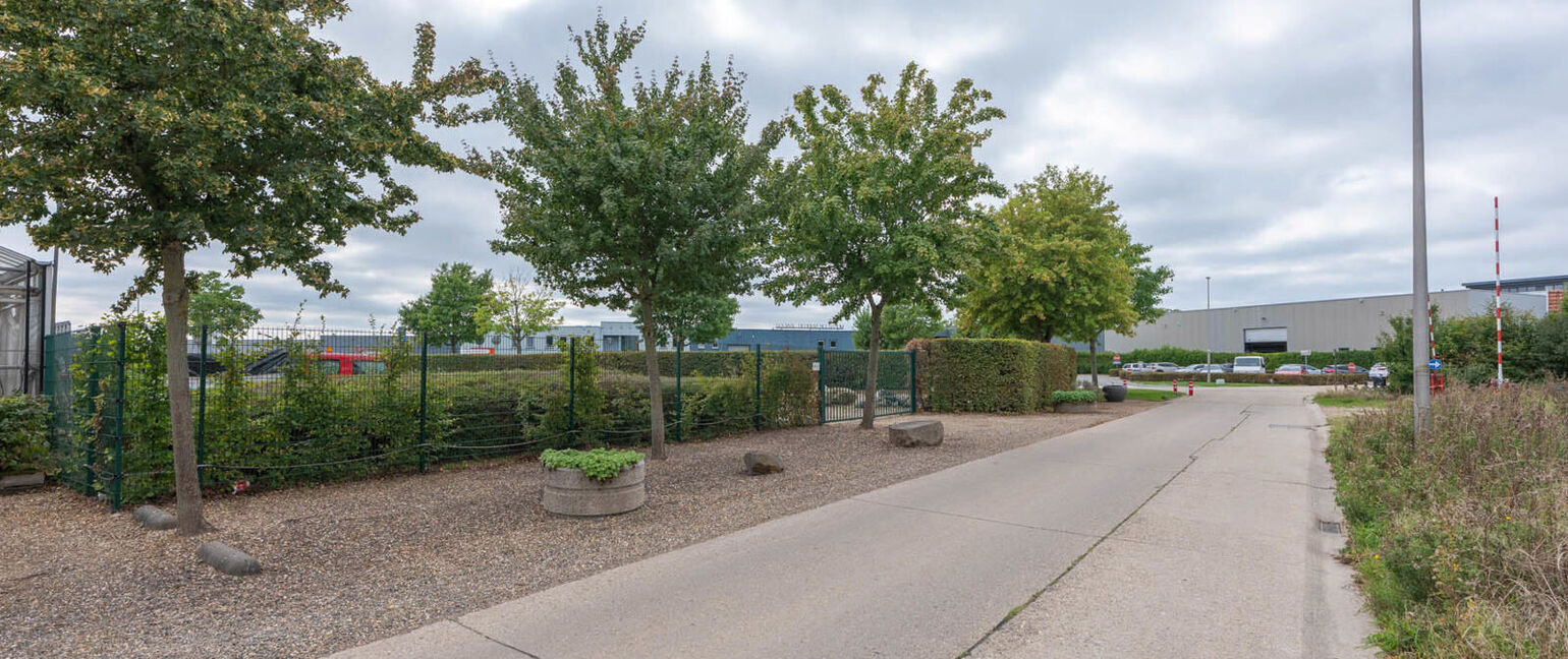 Terrein voor ondernemingen te koop in Maasmechelen