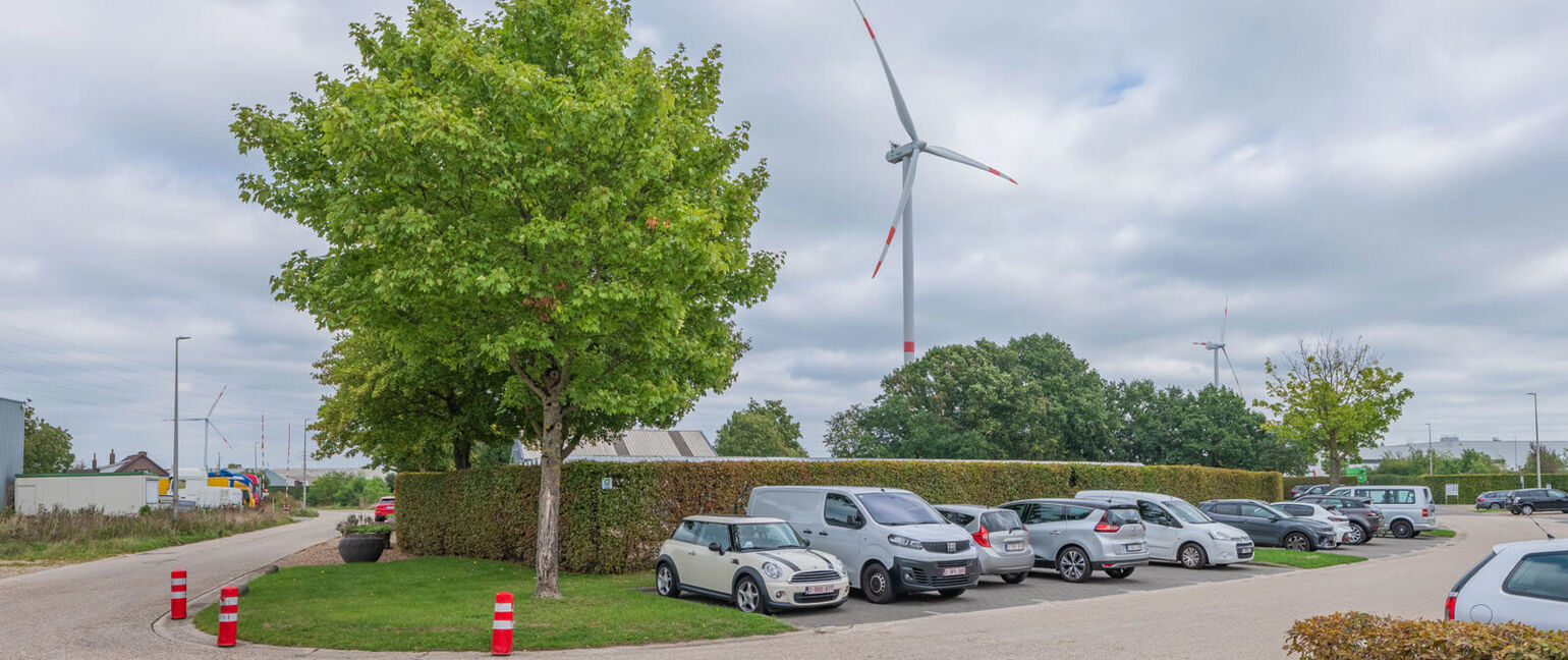 Terrein voor ondernemingen te koop in Maasmechelen