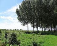 Bouwgrond te koop in Heers