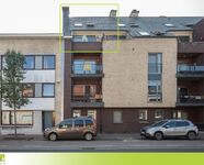 Duplex te koop in Maaseik