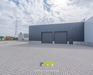 Industrieel gebouw te koop in Maaseik