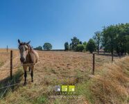 Landbouwgrond te koop in Maaseik Opoeteren