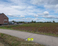 Landbouwgrond te koop in Maasmechelen